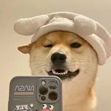 神一般的水