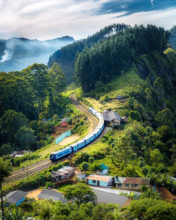 亦有道